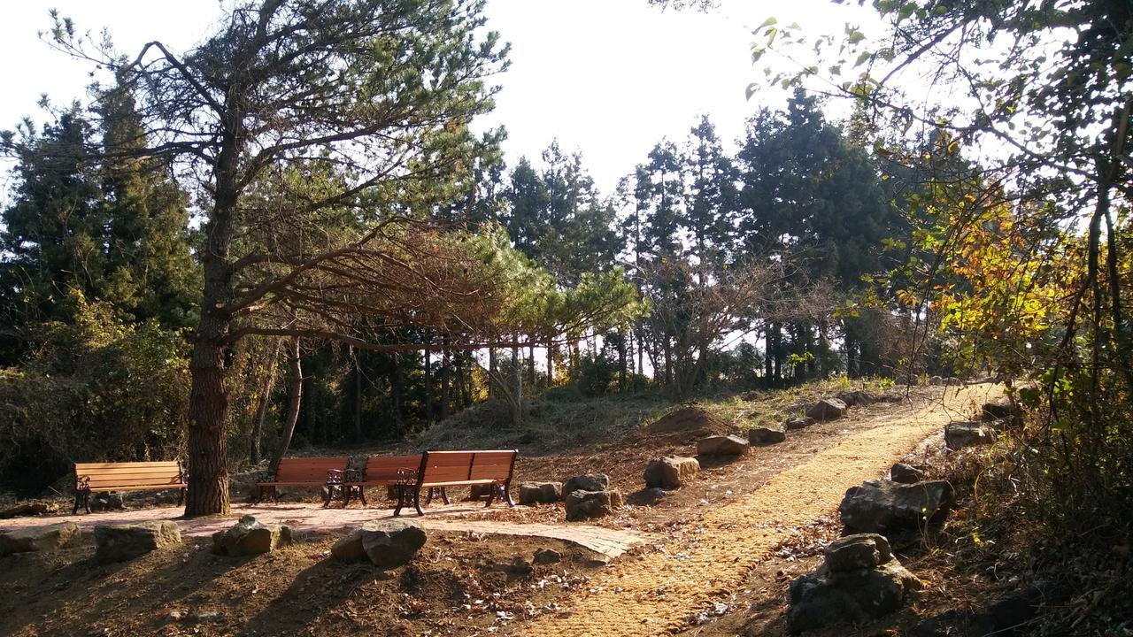Jeju Youth Hostel Екстериор снимка