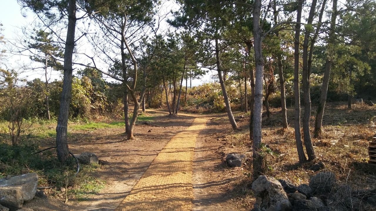Jeju Youth Hostel Екстериор снимка